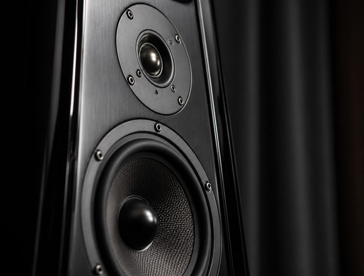 Close-up of a premium home theatre tower speaker tweeter and mid-bass driver